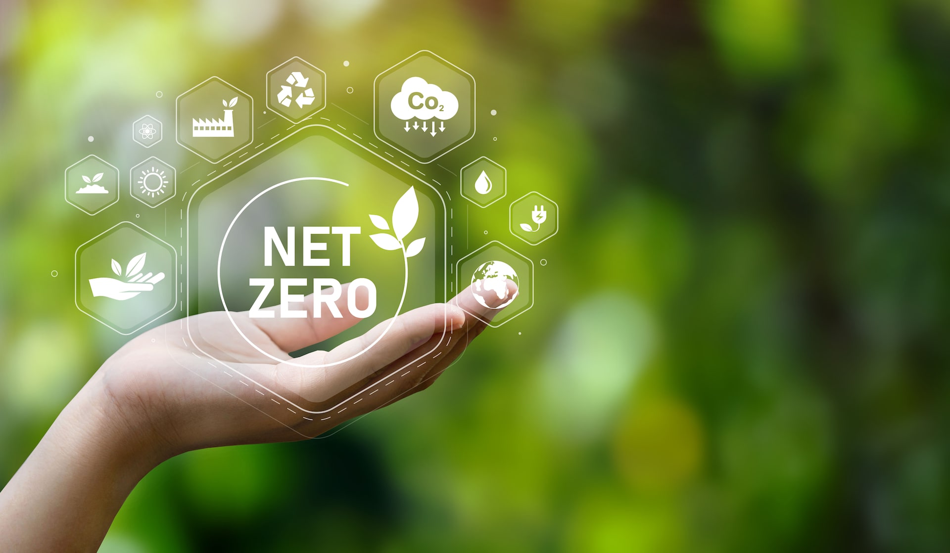What is Net Zero?